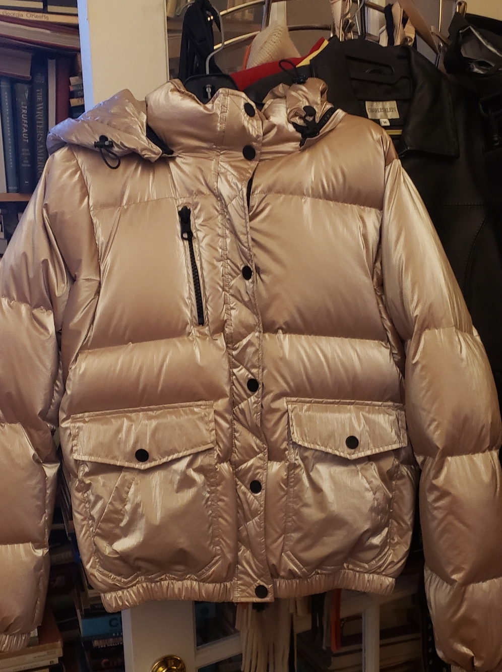 blanc noir Shiny Champagne-Tone Puffer Jacket with Hood "Mont Blanc"